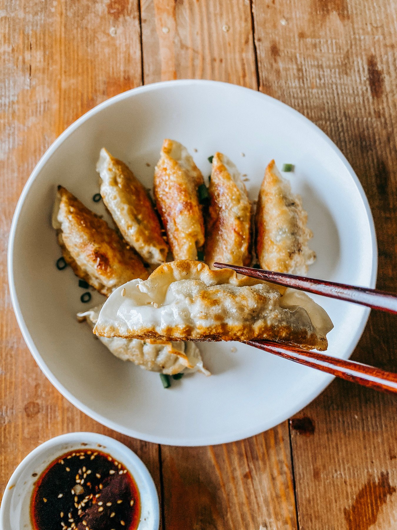 Homemade pot stickers